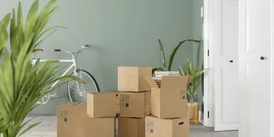 Move-In Cleaning