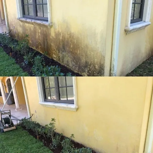 Yellow stucco wall after mildew and stain removal