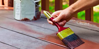 Deck & Shed Painting